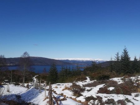 J4. Salhusfjorden au loin.