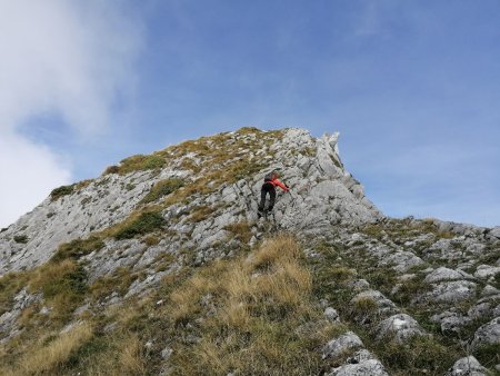 Pointe sommitale