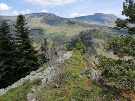 Mt Mézenc, de l’arête