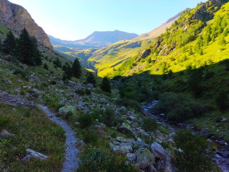 Douce montée vers l’alpage, en longeant le Torrent de Chargès