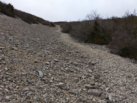 Descente express par le pierrier !