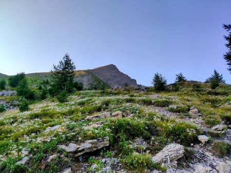 Poursuite de la montée de l’épaule du Crest, un endroit magnifique