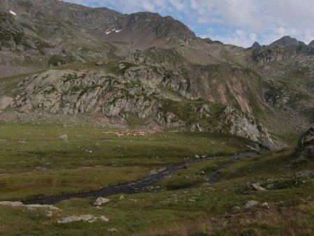 Retour sur la tourbière moutonnée.