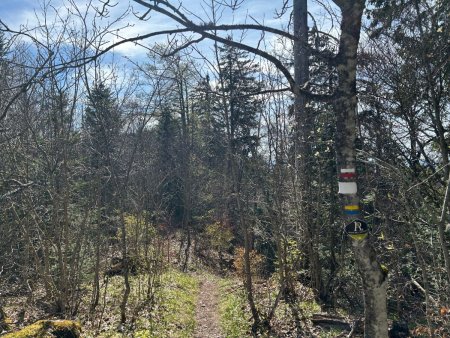 Sentier des Crêtes, triple balisage : PR, GR, grand R (route de l’Absinthe)