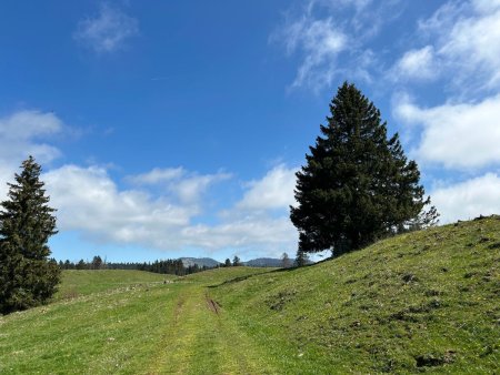 Direction La Trélasse, le Noirmont en arrière-plan