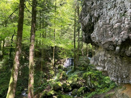 Cascade de ’Angillon, en aval de la source