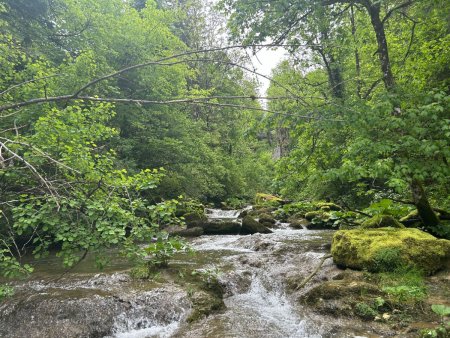 La cascade de la Serpentine, vue d’en haut,en direction du Moulin du Saut