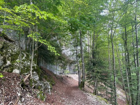 Le GR5, large sentier au pied des falaises