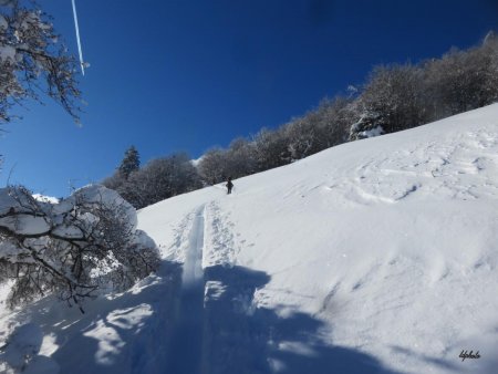 Chemin vers la Combe aux Chevaux