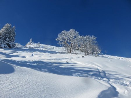 En montant sous le sommet