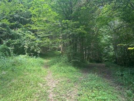 Montée de la Roche du Miroir, c’est le sentier de gauche