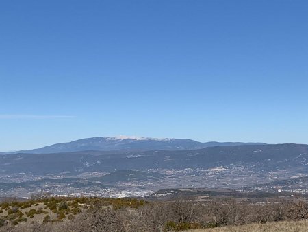 Pelat de Buoux, au fond le Mont Ventoux.