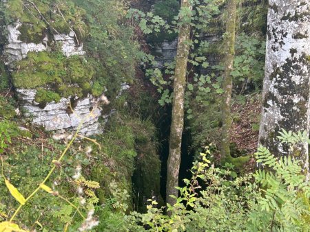 Le Gouffre de la Glacière, ou Gounefay, Gouffre des Hêtres