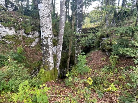 Le Gouffre de la Glacière, ou Gounefay, Gouffre des Hêtres