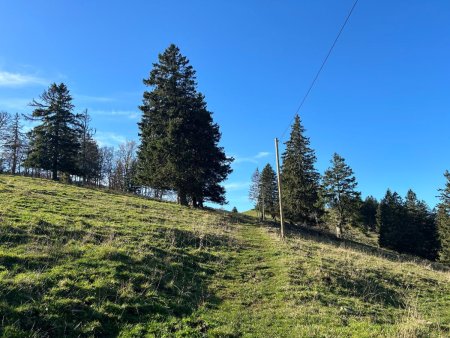 Montée sous les poteaux, à droite de la Route de Grange Neuve