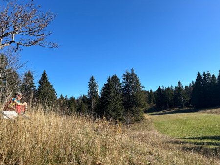 Pause pique-nique au sortir de la forêt, le long des pistes.