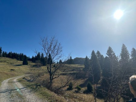 La route en direction du Montrond et de l’Alpage du Crozat