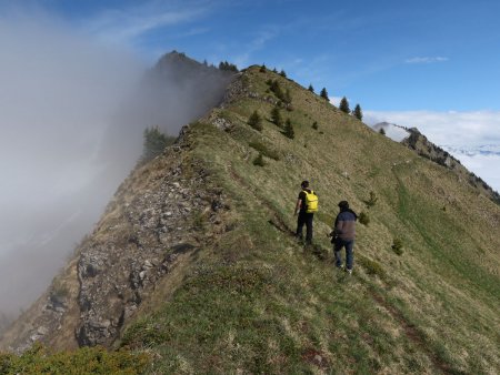 Le long de la crête en direction du sommet...