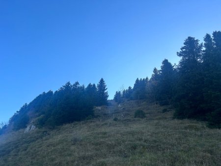 Descente du Montrond par le sentier de crête