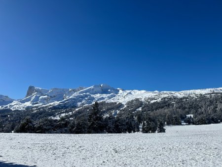 Le plateau de Bure.