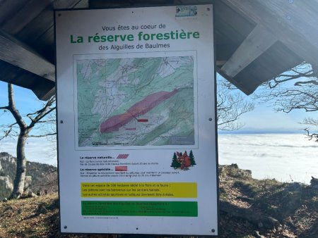 Réserve forestière des Aiguilles de Baulmes