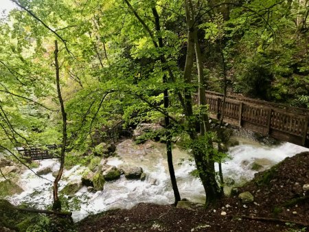 Le Ruisseau d’Alloix bien nourri, et ses passerelles