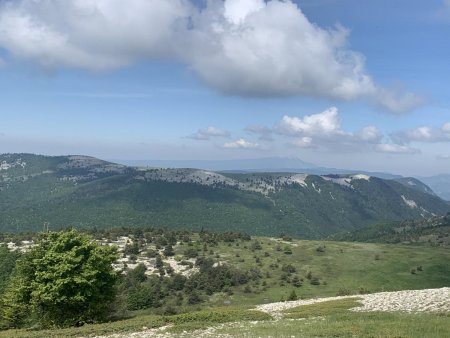 Au premier plan le Contras, au loin le Mont Ventoux.