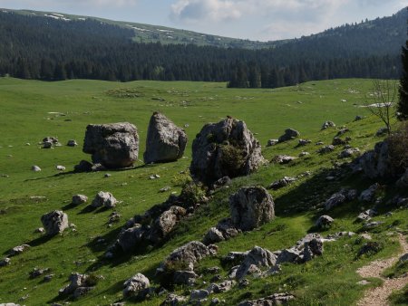 Rien de tel que le sommet du rocher pour observer les alentours.