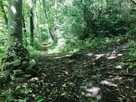 Croisement Chemin du Châtelard et sentier de crête