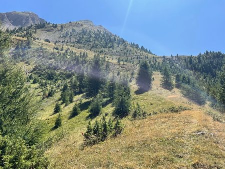 Un ancien sentier peu marqué dans les prairies 