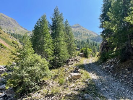 La Pointe de Fleurendon depuis le torrent du Lautaret