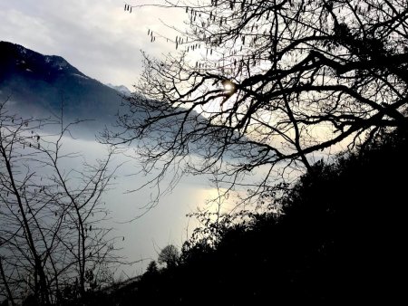 Le bout du Lac émerge du brouillard