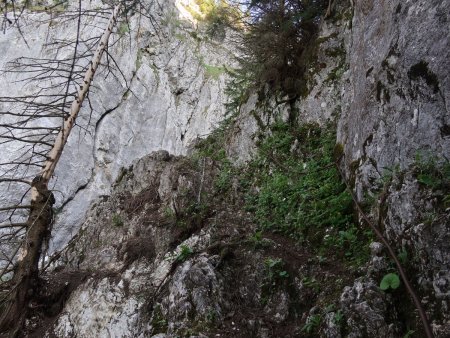 Un passage raide facilité par une rampe.