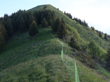 Sur la crête sommitale...