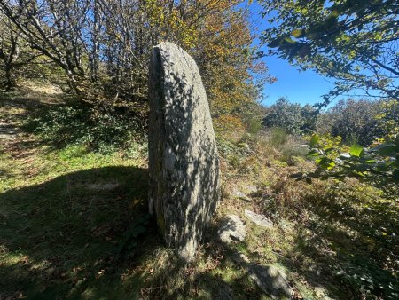 Menhir.