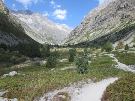 Végétation basse en rive gauche du torrent des Elançons