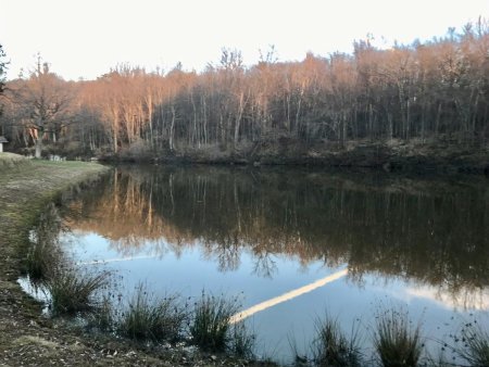 Etang en face de Cazeneuve