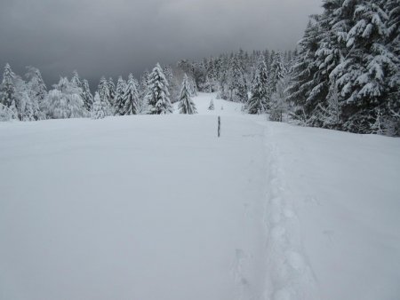 Passage à découvert.