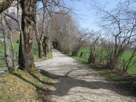 On rejoint une petite route goudronnée.