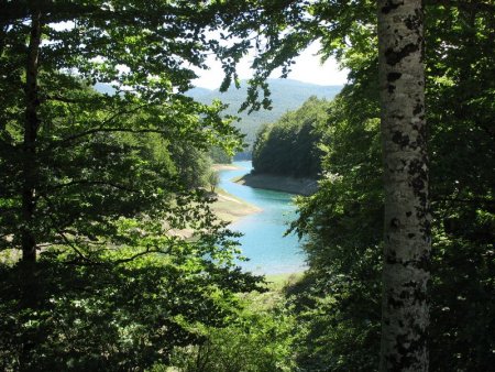 Alors qu’on avance, la rivière est devenue bras du lac.