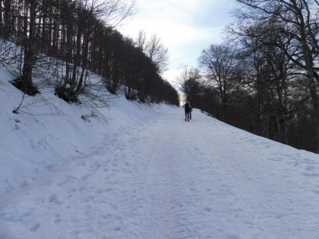 Dans la montée.