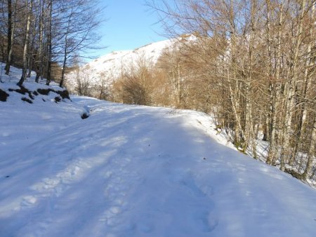 Un bon enneigement, et le beau temps. 