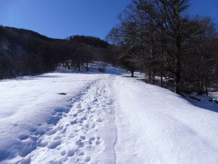 On revient à l’intersection de la liaison avec la piste de Larreluxe.