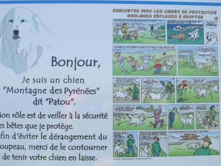 Un panneau rappelle les comportements à adopter avec des troupeaux gardés par des patous .