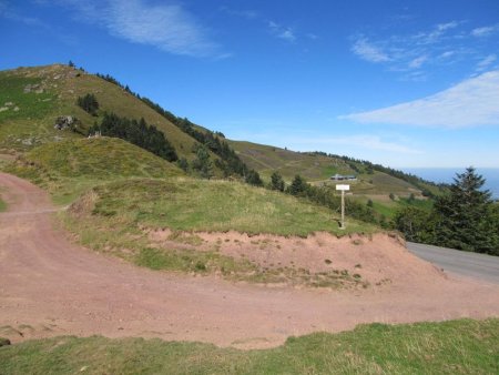 Puis on rejoint la petite route qui fait la liaison entre la station d’Issarbe et la Pierre-Saint-Martin. 