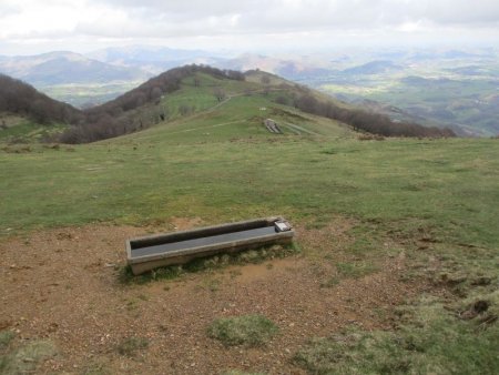 En cours de descente, un nouvel abreuvoir.