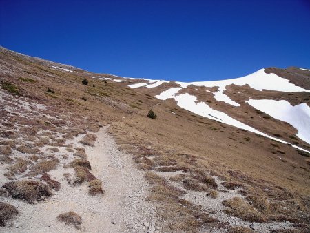 Regard sur la crête du Col Pigeon