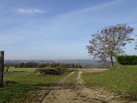 Au loin, Noyers