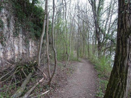 Sentier en bordure de l’Allier