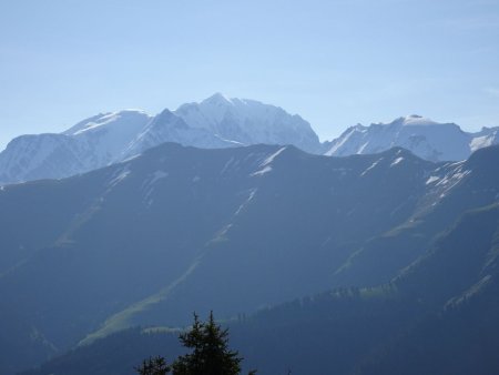 Le Mont Blanc